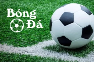 Bóng Trong Cuộc Và Bóng Ngoài Cuộc Theo Luật Bóng Đá Chuẩn FIFA
