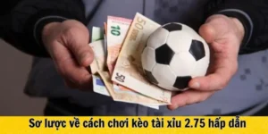 Cách Chơi Kèo 2.75 Hiểu Đúng Quy Tắc Tính Thắng Thua Và Chiến Lược Hiệu Quả