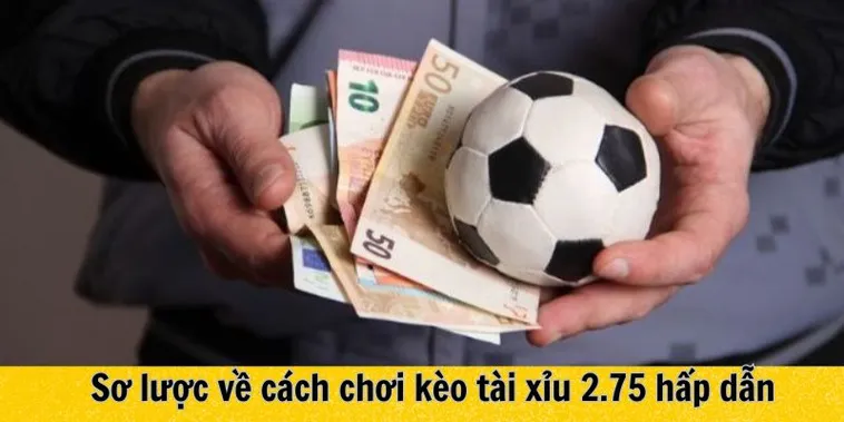 Cách Chơi Kèo 2.75 Hiểu Đúng Quy Tắc Tính Thắng Thua Và Chiến Lược Hiệu Quả