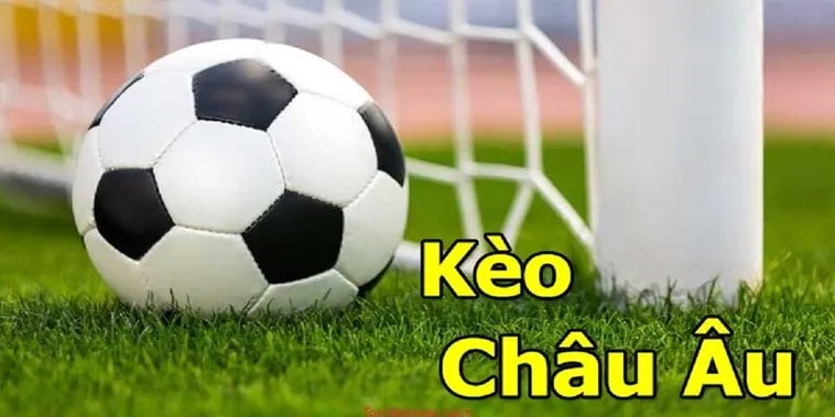 Chi Tiết Cách Chơi Kèo Châu Âu Hiệu Quả Cho Người Mới Và Người Có Kinh Nghiệm