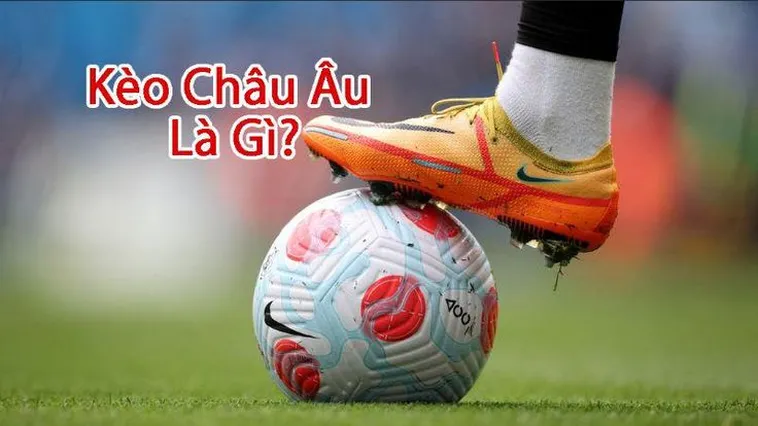 Chi Tiết Cách Chơi Kèo Châu Âu Hiệu Quả Cho Người Mới Và Người Có Kinh Nghiệm