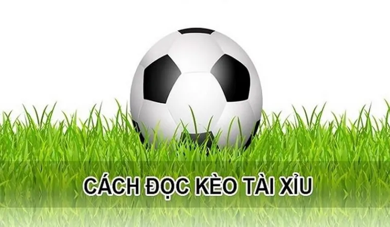 Cách Chơi Kèo Tài Xỉu Hiệp 1 Hiểu Chi Tiết Quy Tắc Và Chiến Thuật