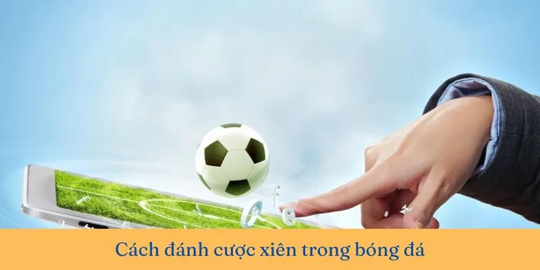 Cách Chơi Kèo Xiên Trong Bóng Đá Hiểu Rõ Cách Tính Và Mẹo Thắng Chuẩn